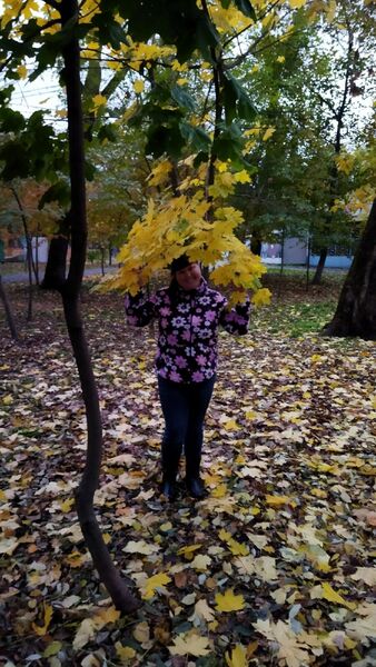  --,   , 38 ,   ,   , 