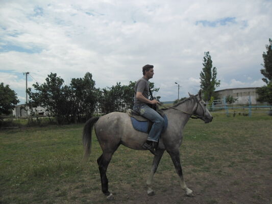  ,   Kostya, 49 ,   