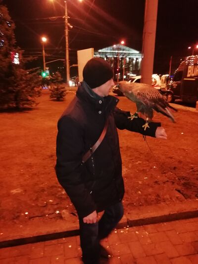  ,   , 53 ,     , c 