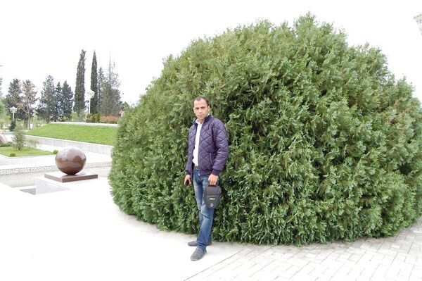  ,   Anar, 36 ,   
