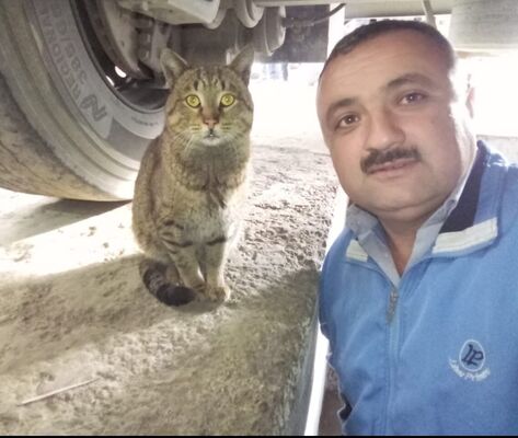  ,   Roma, 45 ,   ,   