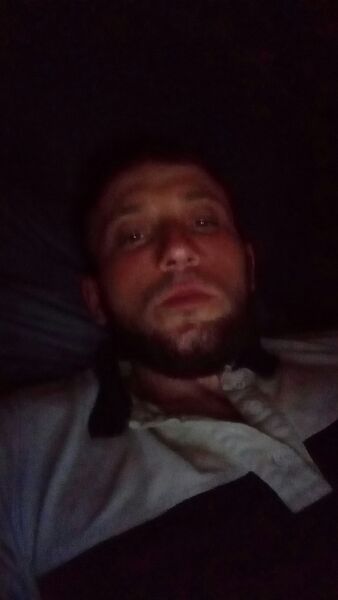  ,   Kot, 31 ,   ,   