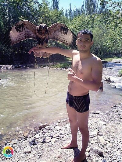  ,   Aristokrat, 32 ,   ,   , c 