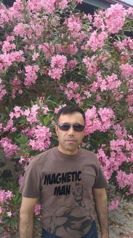  ,   , 44 ,   