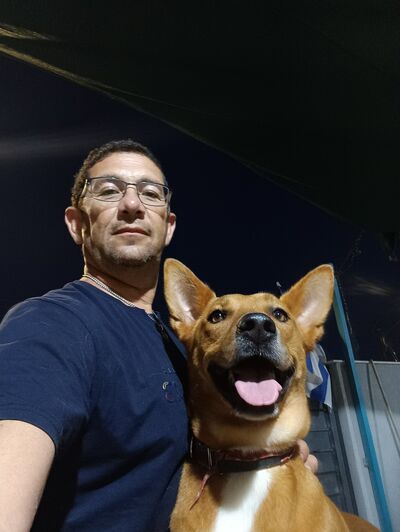  Ashqelon,   , 53 ,     , c 