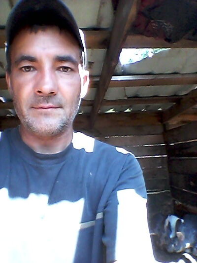 -,   , 46 ,   ,   , c 