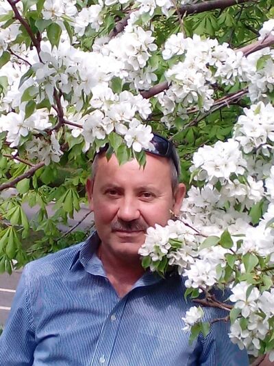  ,   , 56 ,     