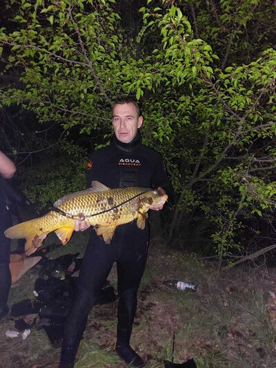  ,   Alexander, 39 ,   ,   , c , 