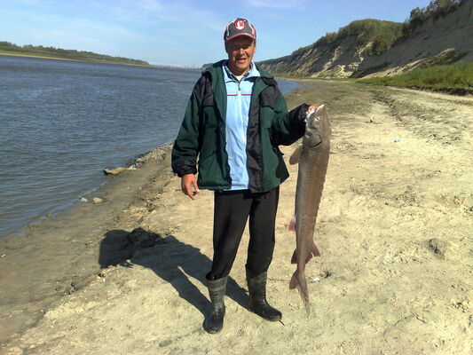  ,   Volodi, 51 ,   ,   , c 