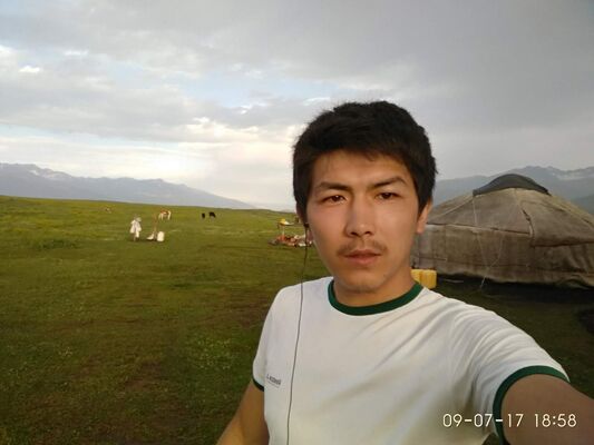  ,   , 33 ,  