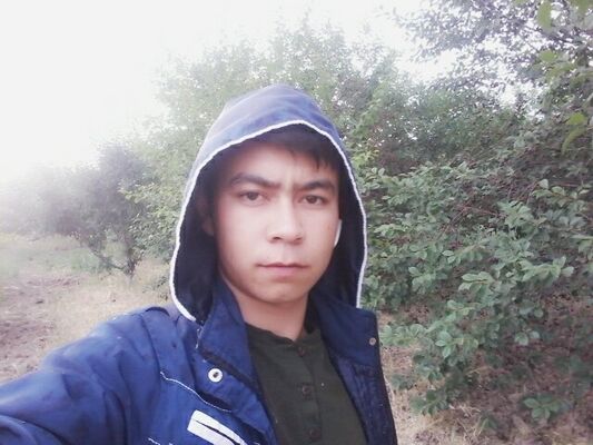  ,   Bagdan, 29 ,   ,   , c 