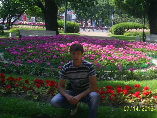  -,   , 46 ,  