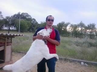  ,   , 44 ,   ,   , c 