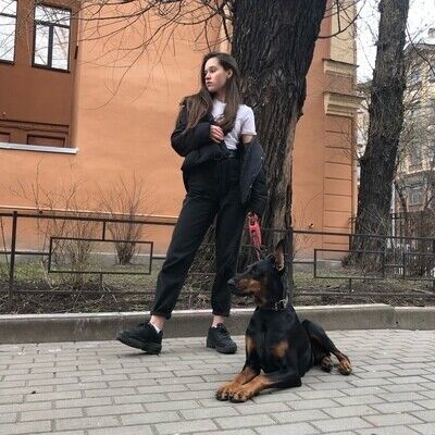  22403031  Vlada, 22 ,    -