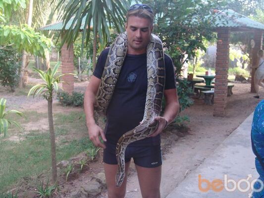  ,   VAVILON, 53 ,     , c 