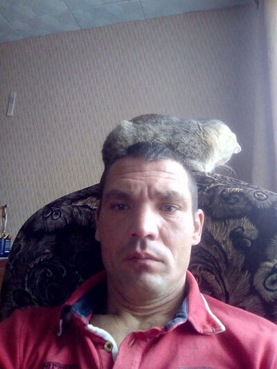  ,   , 51 ,   