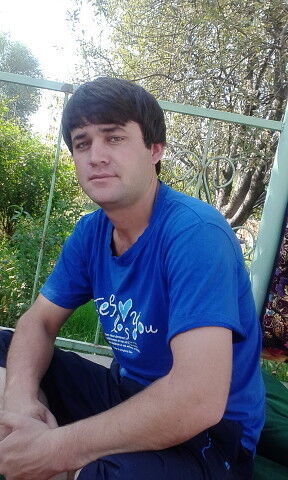  8495191  , 35 ,    -