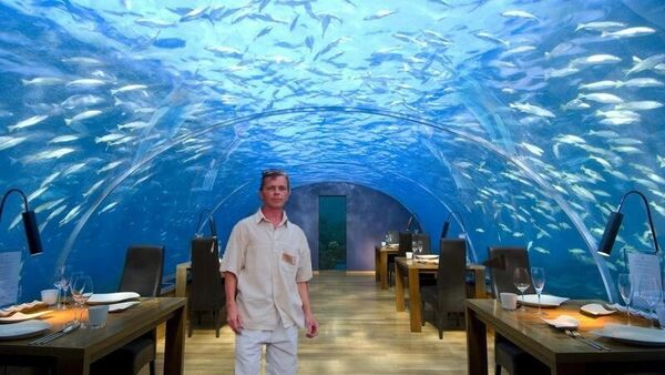  ,   , 49 ,     , c , 