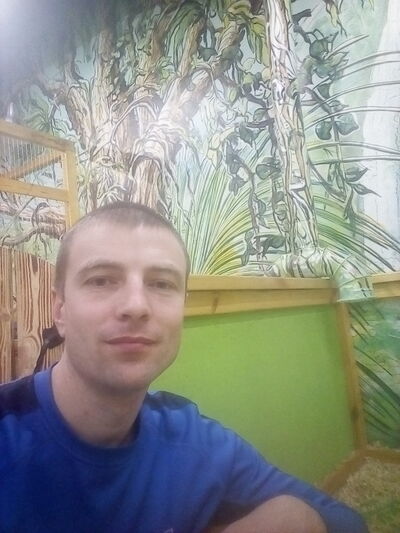  ,   , 40 ,   , 