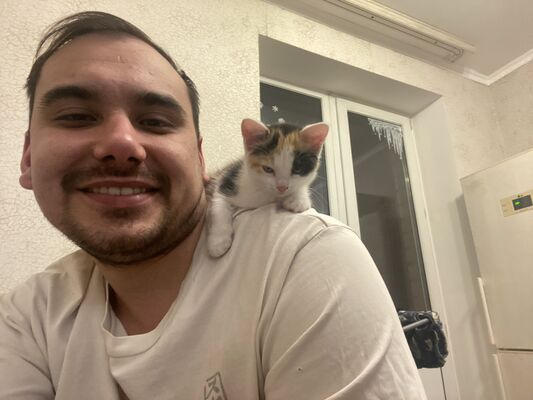  ,   , 26 ,   c 