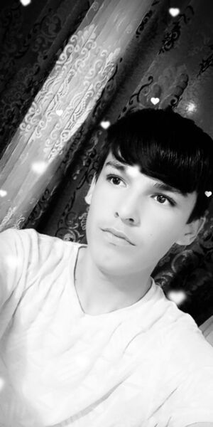  ,   VORISJON, 21 ,   ,   