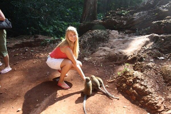  4142241  , 34 ,    -