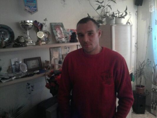  -,   , 41 ,   