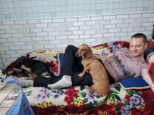  ,   Vlad, 38 ,   ,   