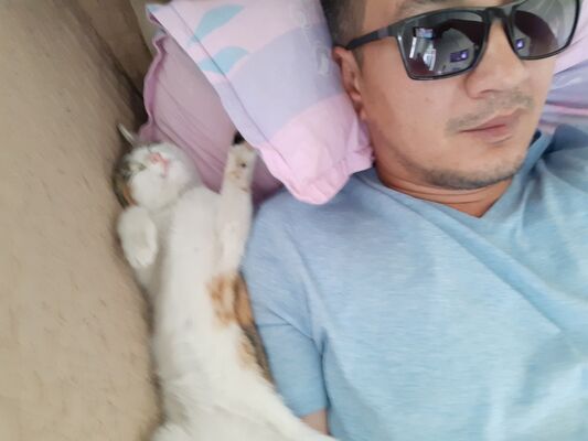  ,   Said, 45 ,   ,   