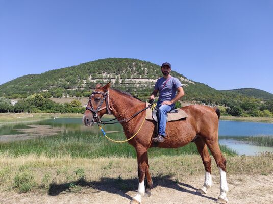  ,   , 43 ,   ,   , c , 