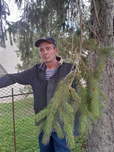  ,   Alex, 60 ,   ,   