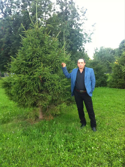  -,   , 46 ,   ,   , c 