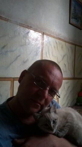  ,   , 46 ,   