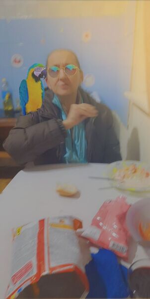  ,   , 65 ,   ,   , c , 