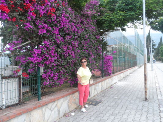  ,   , 65 ,   ,   , c 