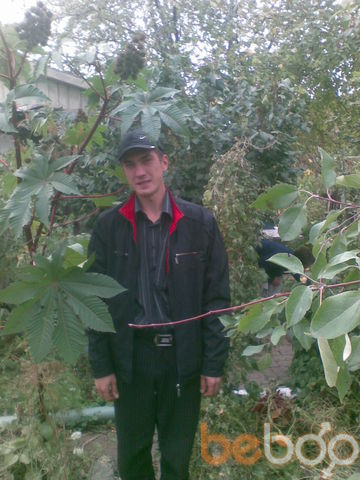  1260361  DIMON, 39 ,    