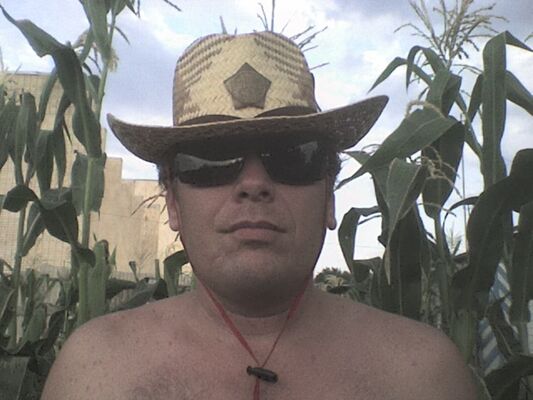  ,   , 54 ,  
