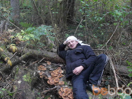 ���������� ������, ���� ������� �����, 44 ����, ������������ ��� ������, ����� � ���������, c�������� ���������