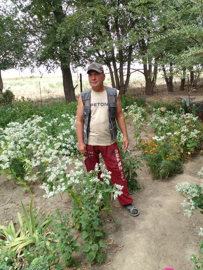  ,   , 51 ,   c 