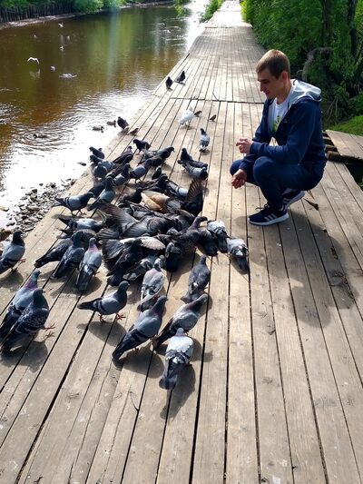  ,   , 29 ,   ,   , c 