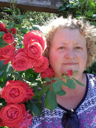  ,   , 52 ,   ,   