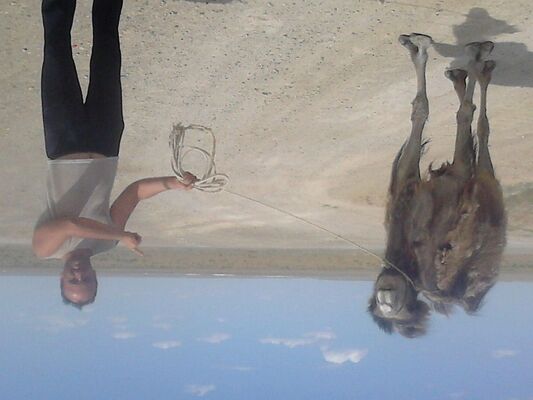  ,   , 46 ,   ,   , c , 