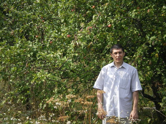  ,   , 41 ,   