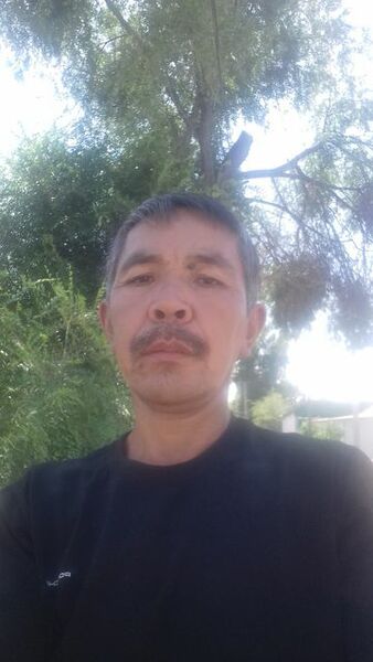  -,   , 51 ,   c 