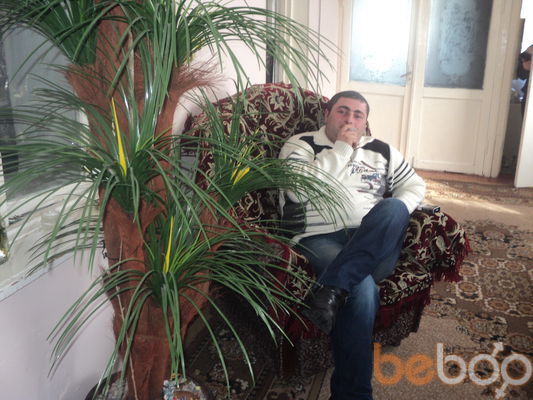  ,   NVER, 38 ,  