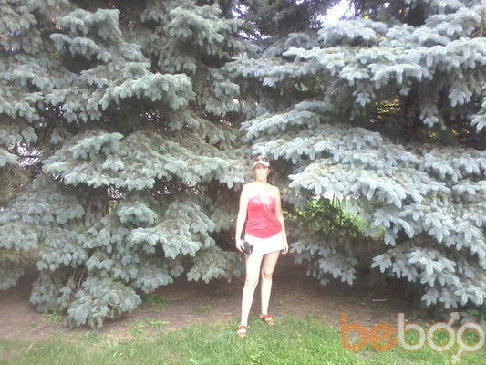 ���������� ���������, ���� ������� ������� 28, 41 ���, ������������ ��� ����� � ���������, c�������� ���������