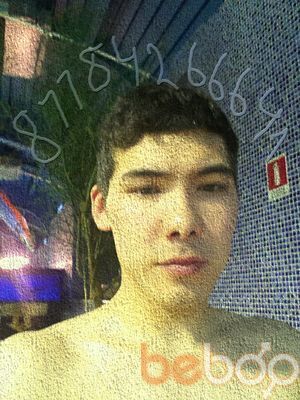  ,   87784266641, 33 ,   