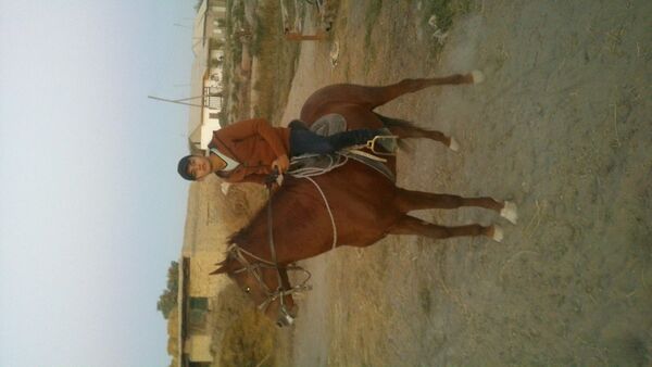  ,   2441100, 32 ,     , c , 