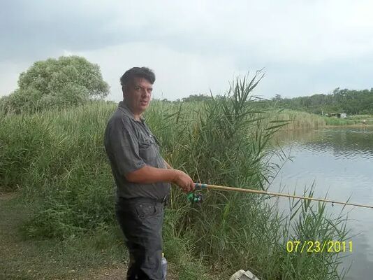  --,   Graf, 55 ,   ,   