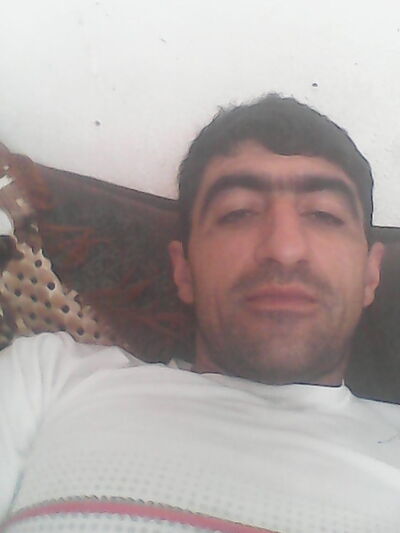  ,   ARK, 43 ,   